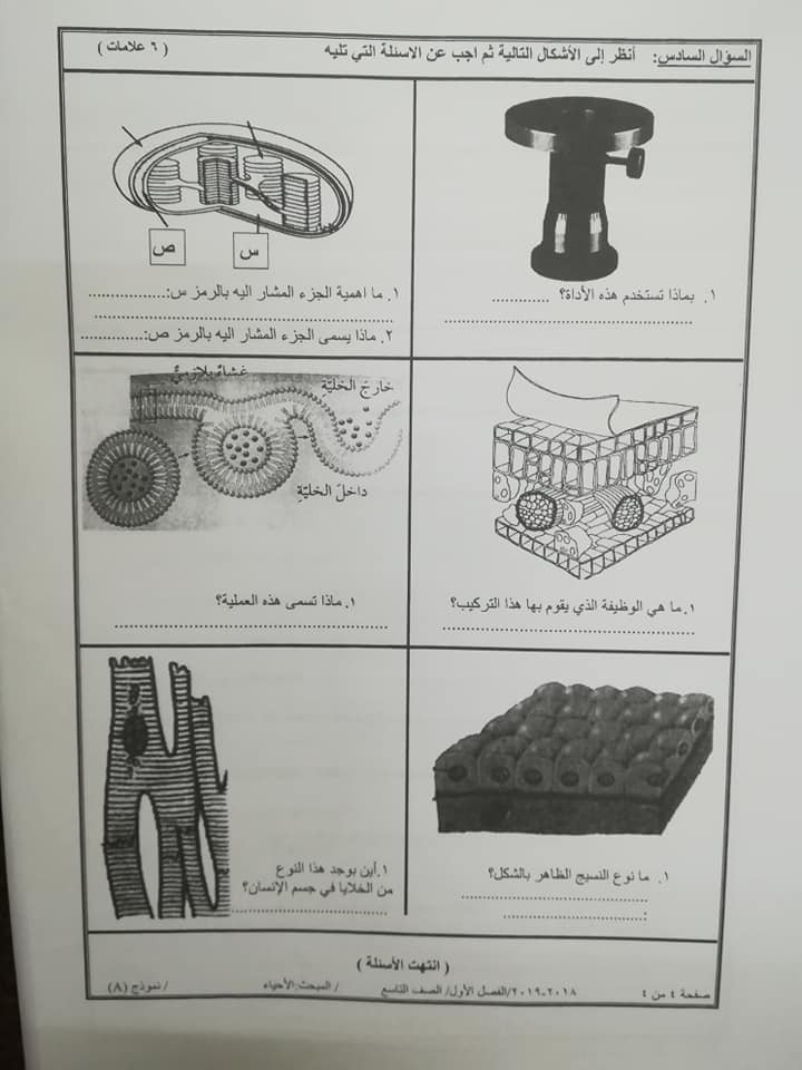 MTI4NjE8428 بالصور نموذج A وكالة امتحان الاحياء النهائي للصف التاسع الفصل الاول 2018